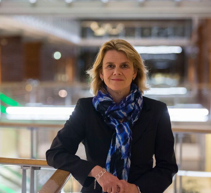 Picture of a budsinesswoman leading a meeting